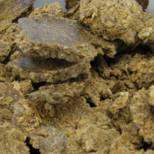 Cattle feed from cashew apple waste